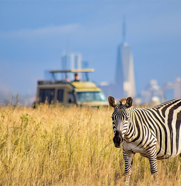 Kenya tours and safaris - Kenya travel packages