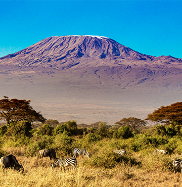 Tanzania tours and safaris - Tanzania travel packages