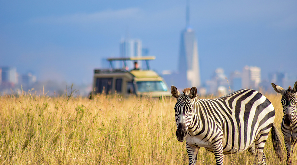 Nairobi National Park Day Safari – Wildlife Experience in the City - Nairobi National Park Main Gate, Langata Road, Nairobi, Kenya tour package